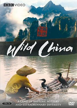美麗中國(全集)