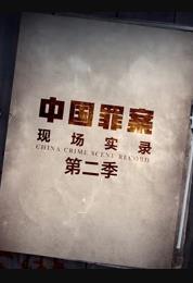 罪案現場實錄第二季(全集)