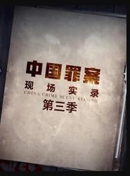 罪案現(xiàn)場(chǎng)實(shí)錄第三季(全集)