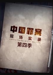 罪案現場實錄第四季(全集)