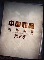 罪案現場實錄第五季(全集)