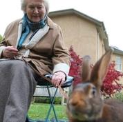 和帕特里夏·勞特利奇一起追尋碧翠絲·波特