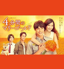 四分鐘的金盞菊(全集)