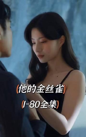 他的金絲雀第61集