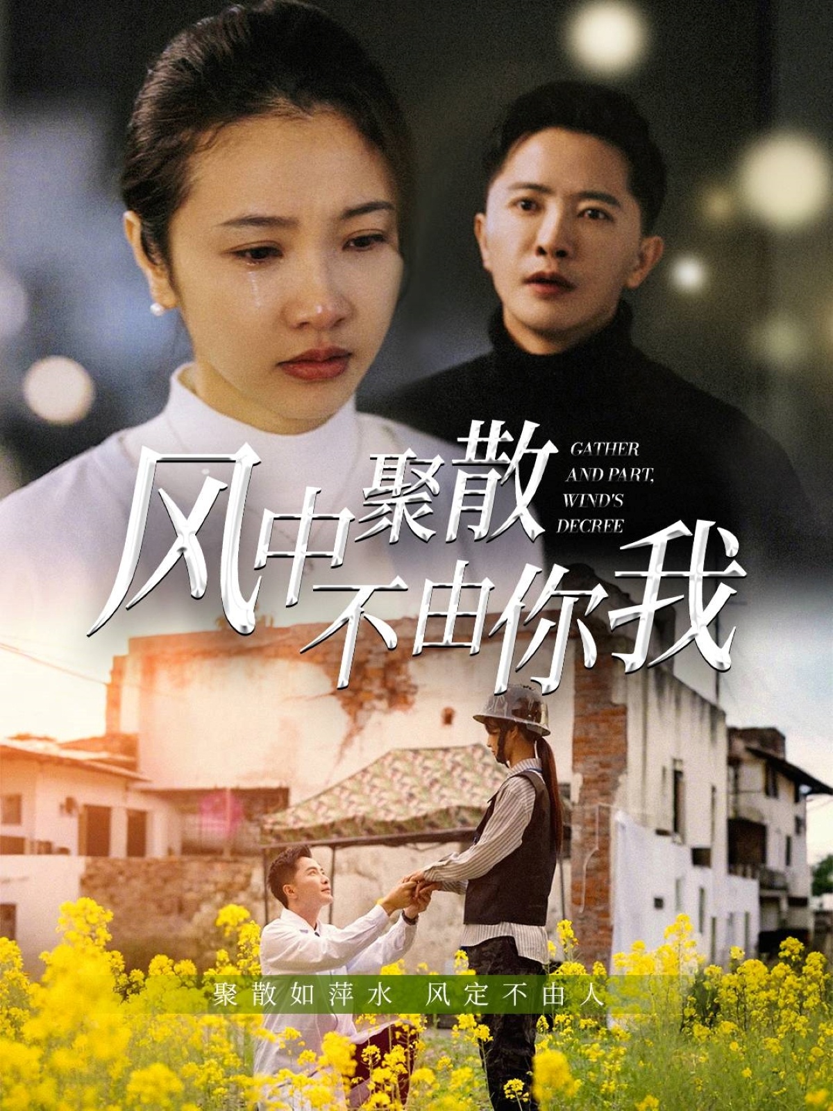 風中聚散不由你我(全集)
