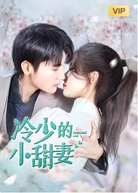 冷少的小甜妻第12集