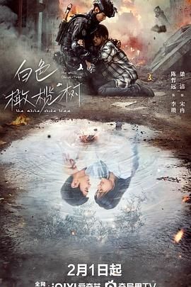 白色橄欖樹第01集