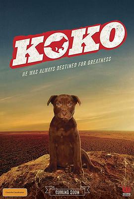Koko：紅犬歷險記