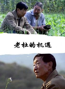 老杜的機遇