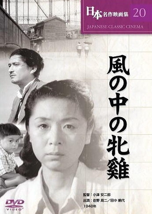 風中的母雞